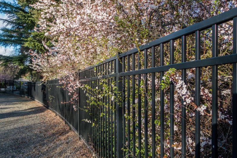 Black Metal Fence Installation in South Houston, TX