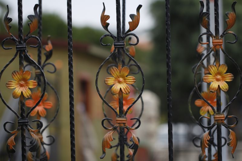 Ornamental Iron Fence Service in Alpharetta, GA