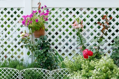 Pvc Lattice Fence Installation in Pearland, TX