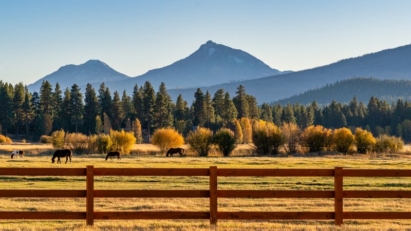 Ranch Fence Replacement in Roseville, CA