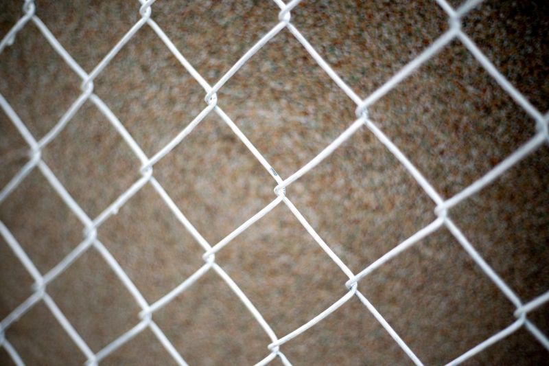 Chain Link Fence Replacement in Pearland, TX