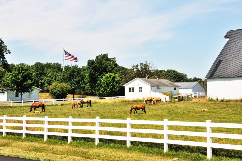 Equine Fence Installation in Roseville, CA