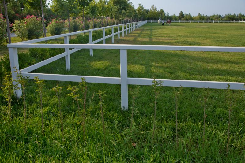 Horse Fence Replacement in Roseville, CA