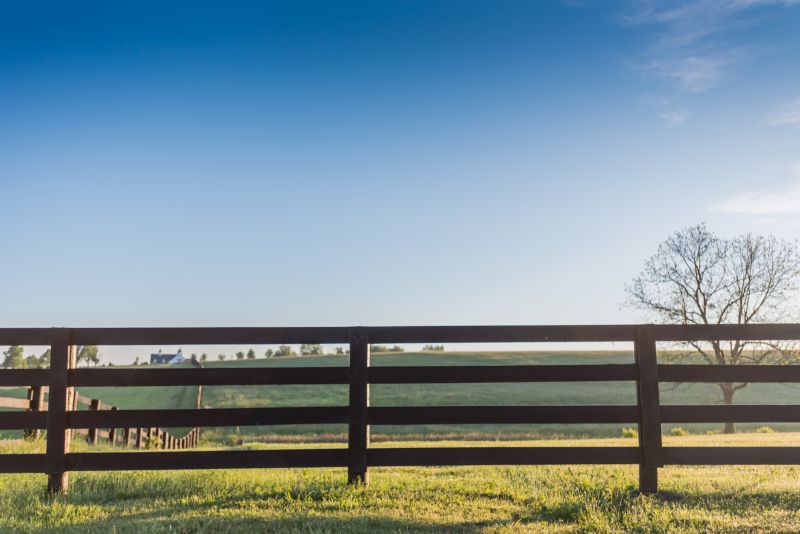 Horse Fence Replacement in Roseville, CA