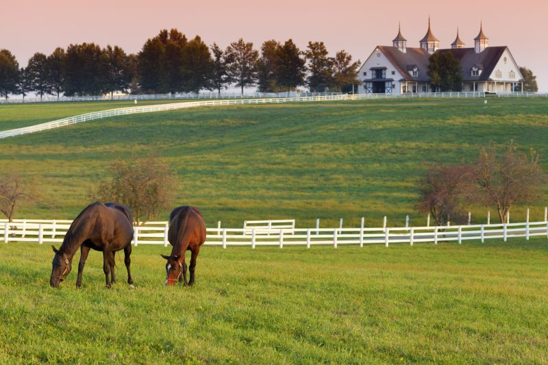 Horse Paddock Installation in South Houston, TX