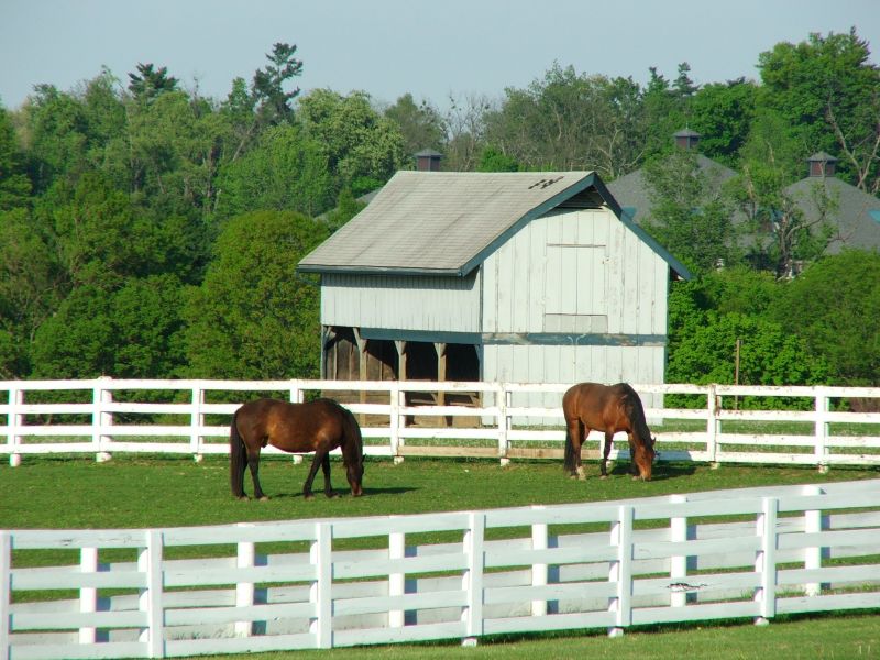 Stable Fencing Installation in Sacramento, CA