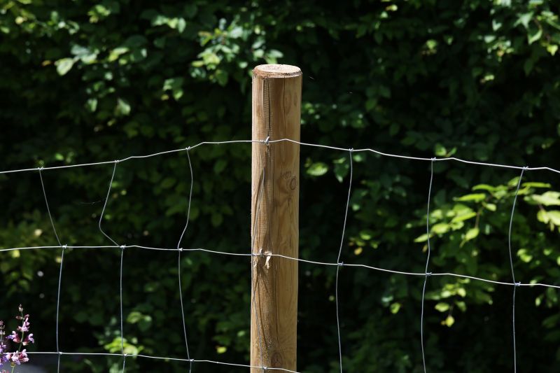 Wooden Dog Fence Installation in Pearland, TX